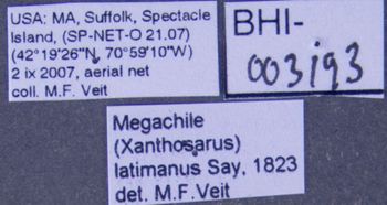 Media type: image;   Entomology 610877 Aspect: labels
